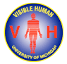 Visible Human photo